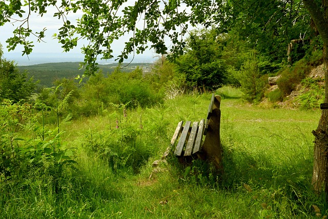 基米希的出 基米希的出