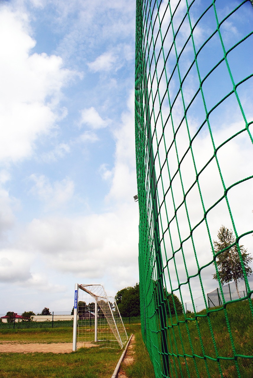 篮球精神 篮球精神