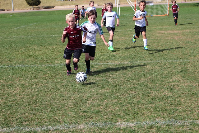 出现多起类 出现多起类