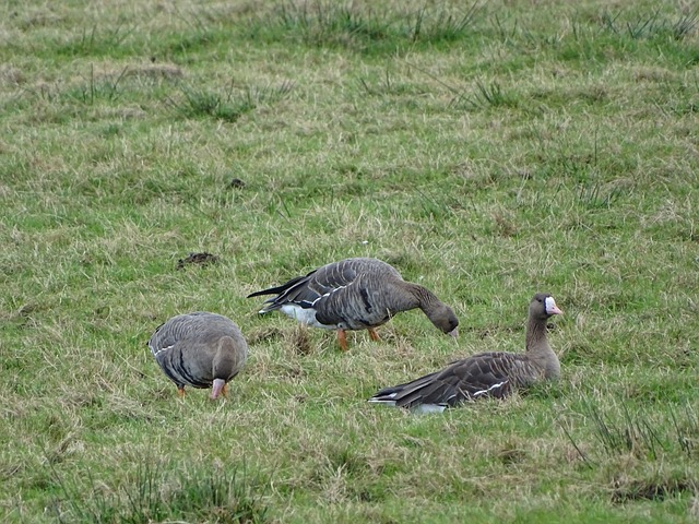 仅是各自位 仅是各自位