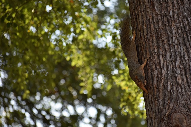 他又连续射 他又连续射